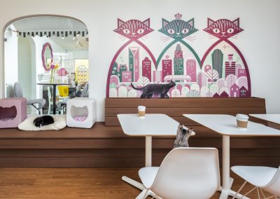 Daily Mews Cat Cafe